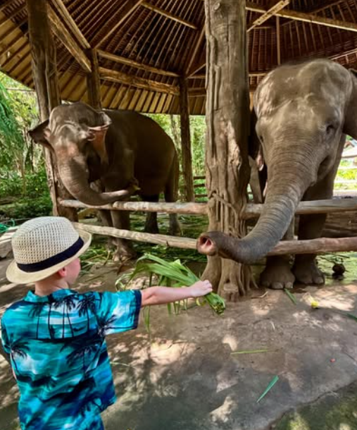 bali safari