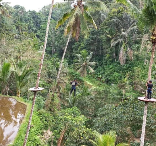 high rope bali