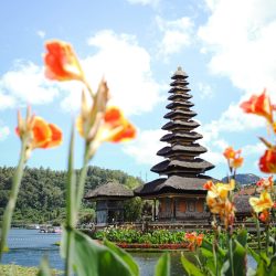 paket tour bali (4)